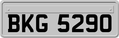 BKG5290