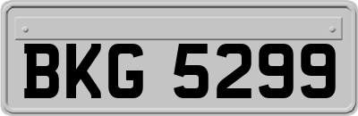 BKG5299