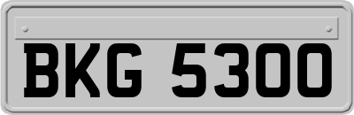 BKG5300