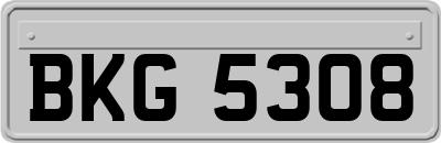 BKG5308
