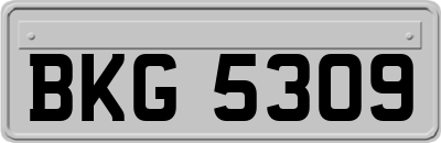 BKG5309