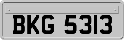 BKG5313