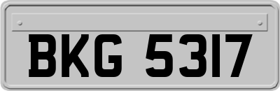 BKG5317