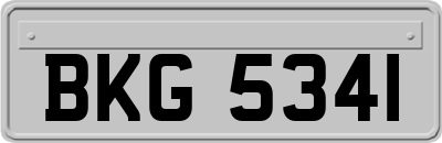 BKG5341