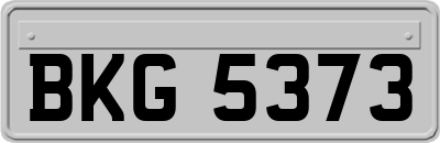BKG5373