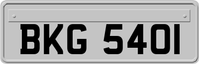 BKG5401