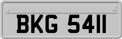 BKG5411