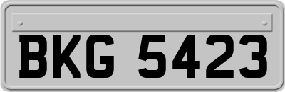BKG5423