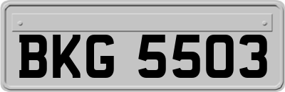 BKG5503