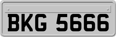 BKG5666