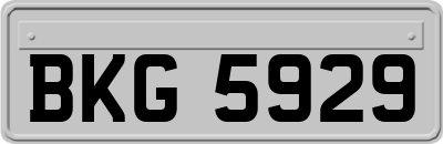 BKG5929