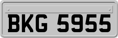 BKG5955