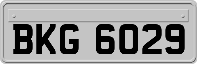 BKG6029
