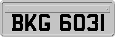 BKG6031