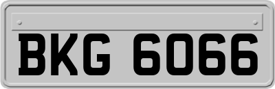 BKG6066