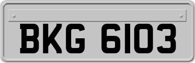 BKG6103