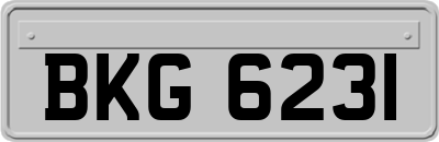 BKG6231