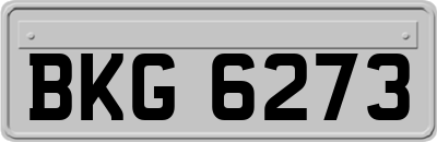 BKG6273