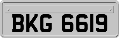 BKG6619