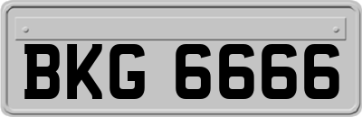 BKG6666