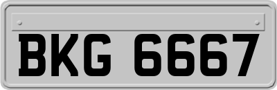 BKG6667