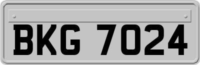 BKG7024