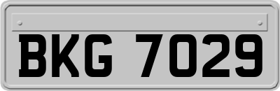 BKG7029