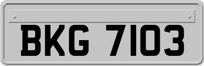 BKG7103
