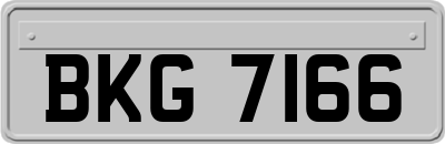 BKG7166