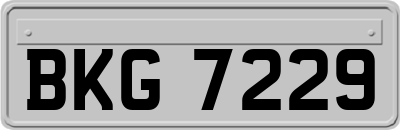 BKG7229