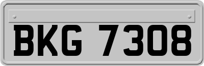 BKG7308