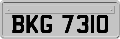 BKG7310