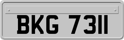 BKG7311
