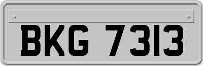 BKG7313