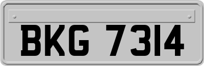 BKG7314