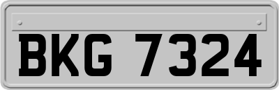 BKG7324