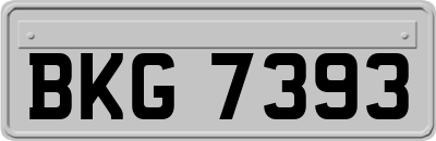 BKG7393