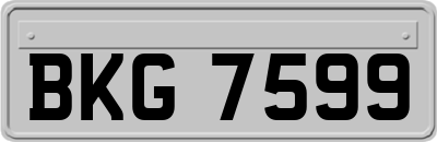 BKG7599