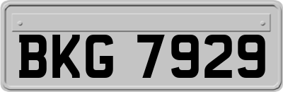 BKG7929