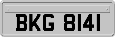 BKG8141