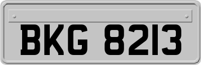 BKG8213