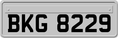 BKG8229