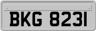 BKG8231