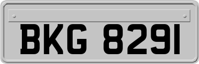 BKG8291