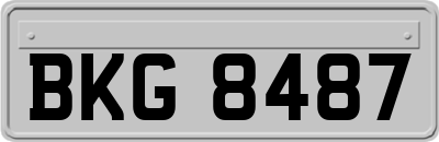 BKG8487