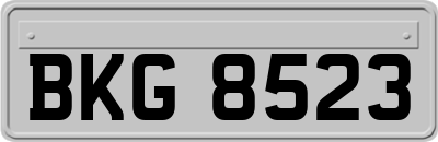 BKG8523
