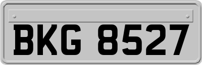 BKG8527