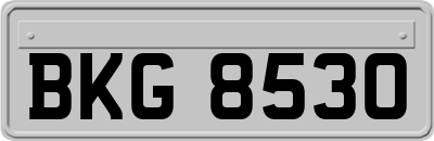 BKG8530