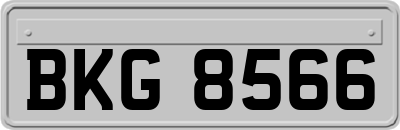 BKG8566
