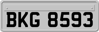 BKG8593